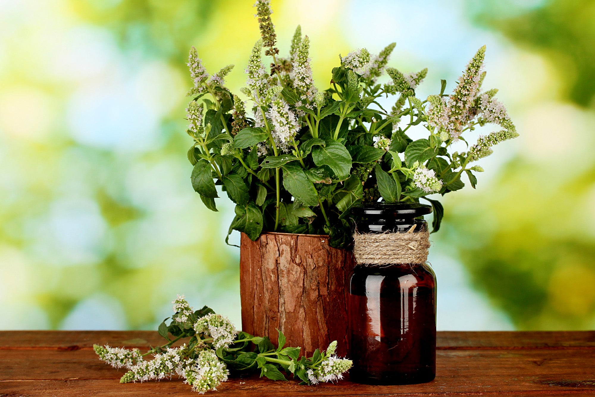 Benefits of Peppermint Essential Oil