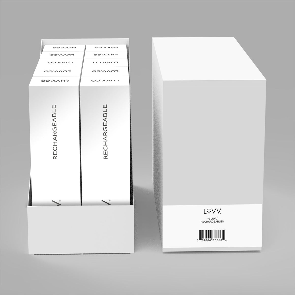 Rechargeable Battery 10-Pack