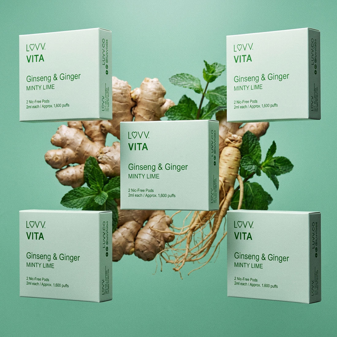 Ginseng + Ginger / Minty Lime Pods